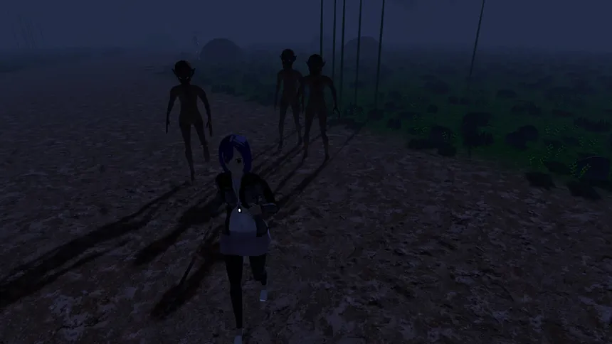 Скриншот 4 к игре Selene's Nightmare