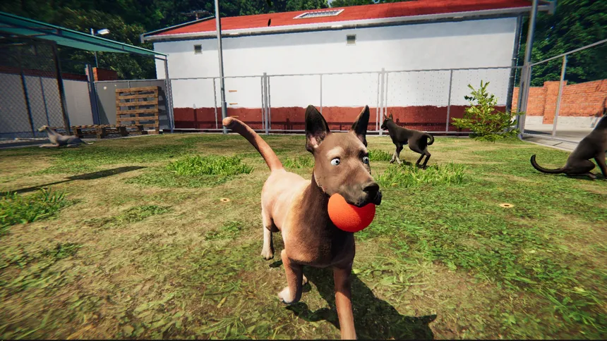 Скриншот 2 к игре Animal Shelter: Prologue