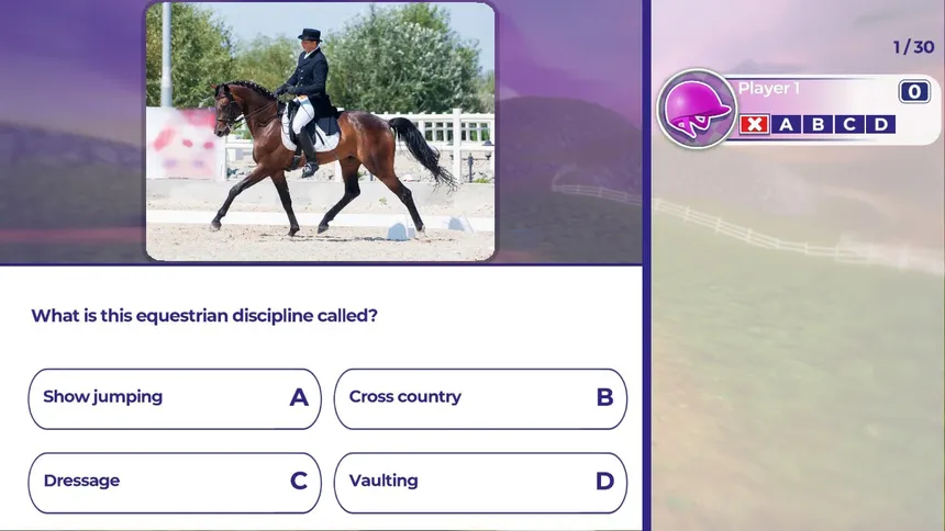 Скриншот 1 к игре Equestrian Training