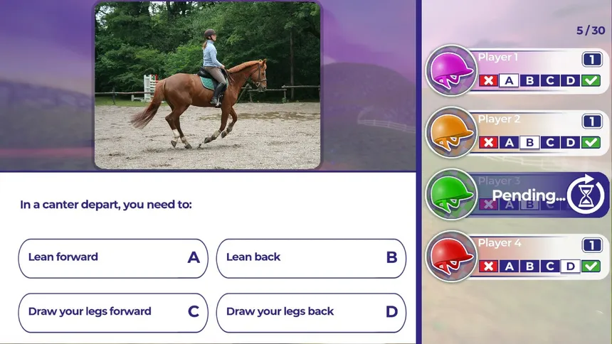 Скриншот 2 к игре Equestrian Training