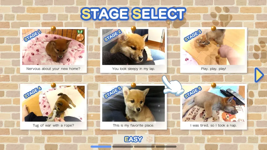 Скриншот 1 к игре Shiba Mekuri 柴めくり