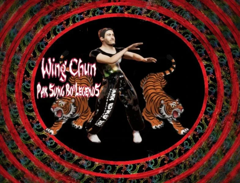 Скриншот 3 к игре Pak Sung Bo Wing Chun