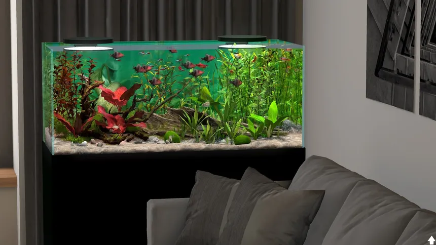 Скриншот 3 к игре Behind Glass: Aquarium Simulator