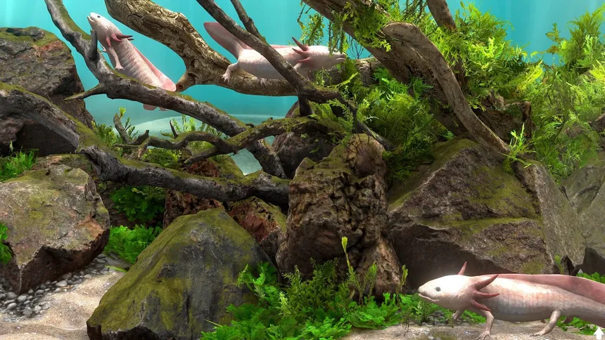 Скриншот 4 к игре Behind Glass: Aquarium Simulator