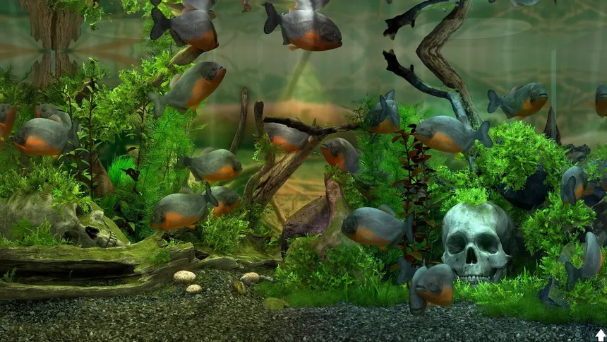 Скриншот 5 к игре Behind Glass: Aquarium Simulator