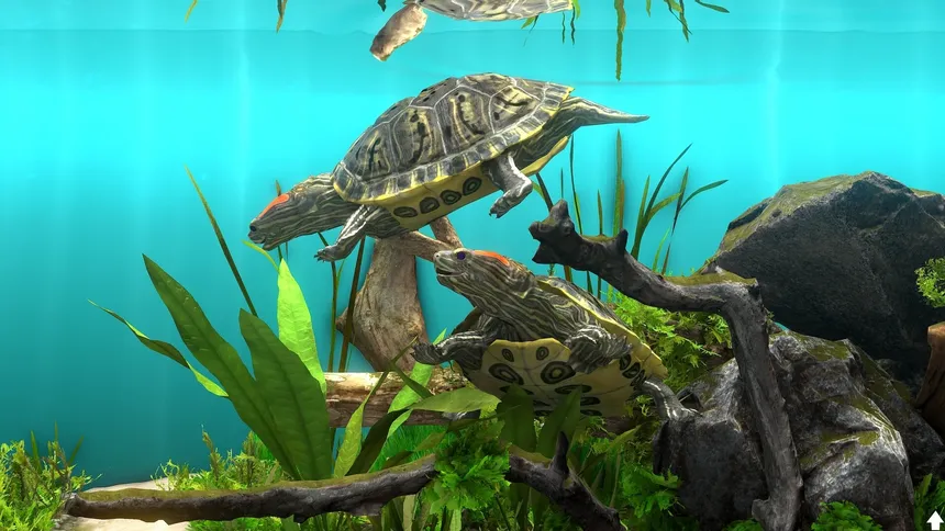 Скриншот 7 к игре Behind Glass: Aquarium Simulator