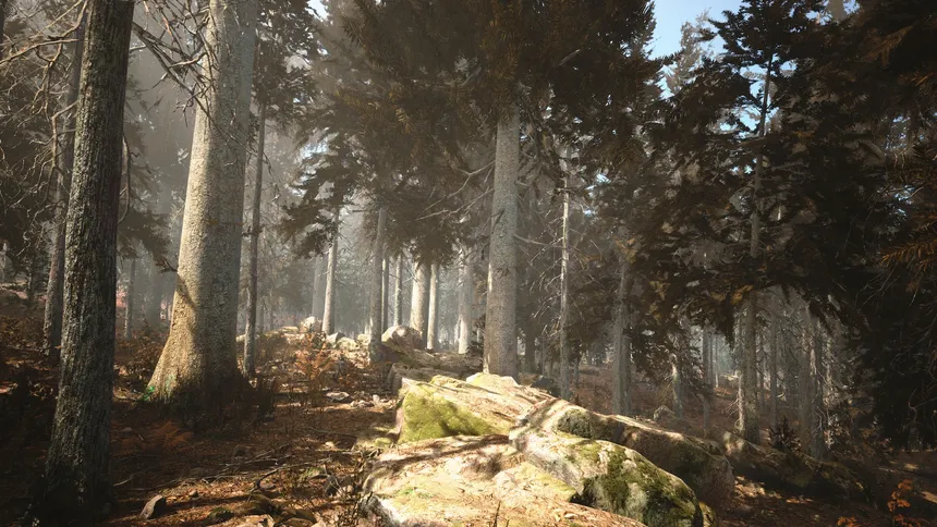 Скриншот 4 к игре Photography Simulator