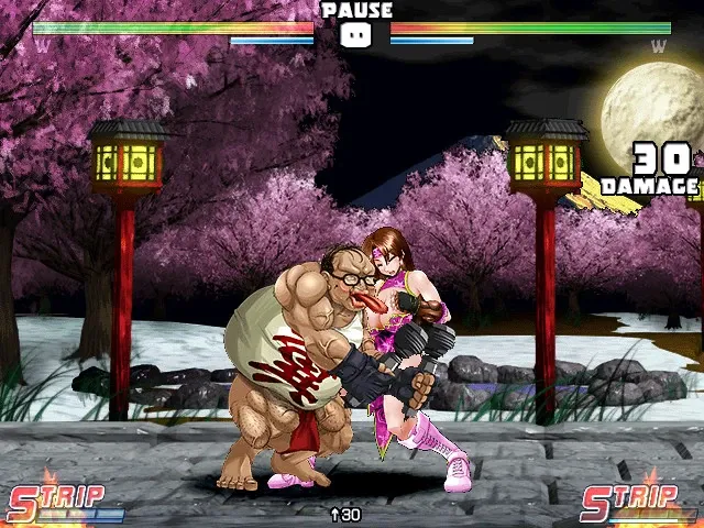 Скриншот 6 к игре Strip Fighter 5: Chimpocon Edition