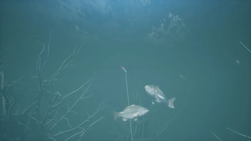 Скриншот 8 к игре Bassmaster Fishing