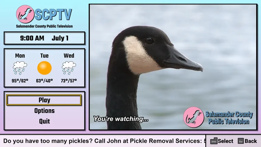 Скриншот 3 к игре Salamander County Public Television