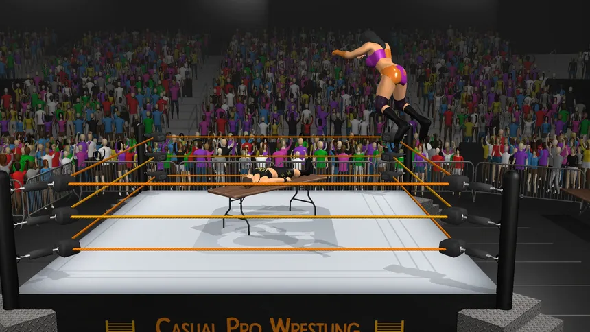 Скриншот 2 к игре Casual Pro Wrestling
