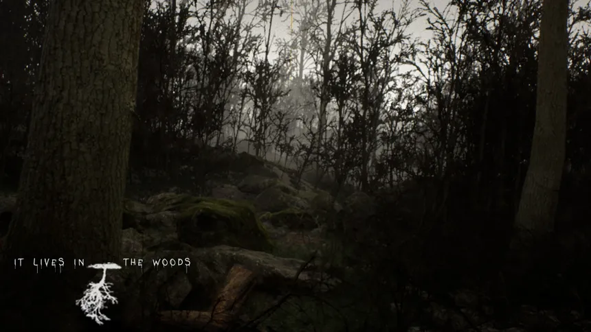 Скриншот 1 к игре ItLivesInTheWoods