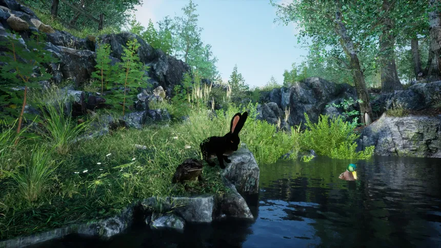 Скриншот 2 к игре Rabbit Meadow