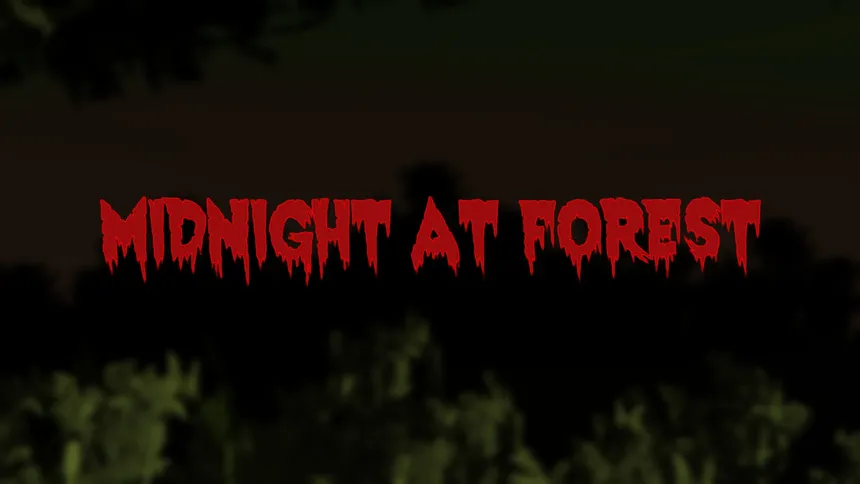 Скриншот 1 к игре Midnight at Forest