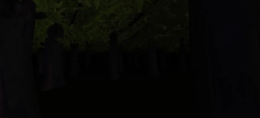 Скриншот 7 к игре Midnight at Forest