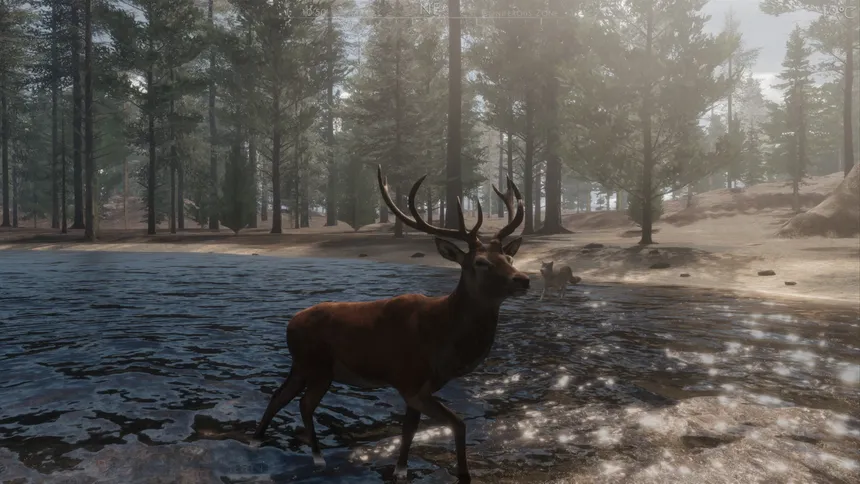 Скриншот 6 к игре The WILDS