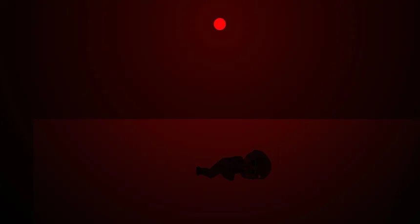 Скриншот 3 к игре Hunter Project: Operation Survive