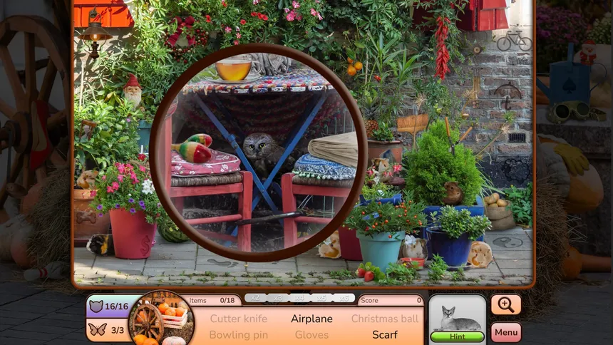 Скриншот 3 к игре I Love Finding Critters