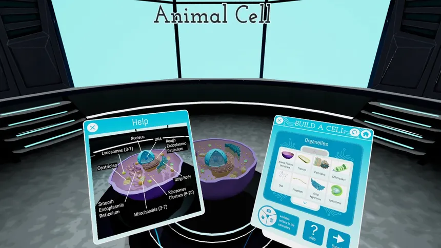 Скриншот 4 к игре Looking Inside Cells