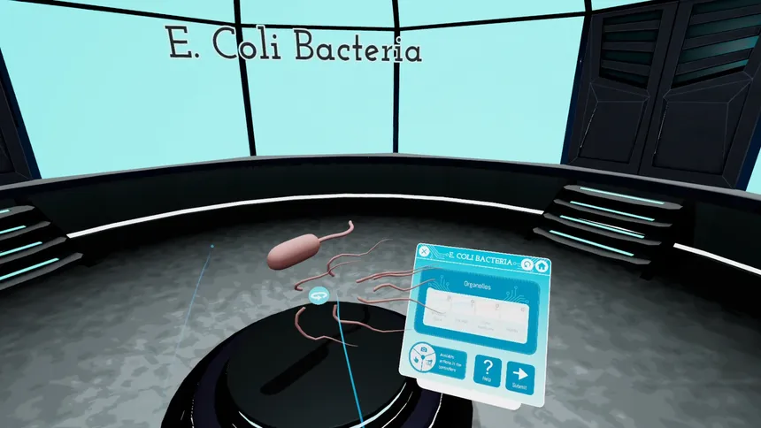 Скриншот 8 к игре Looking Inside Cells