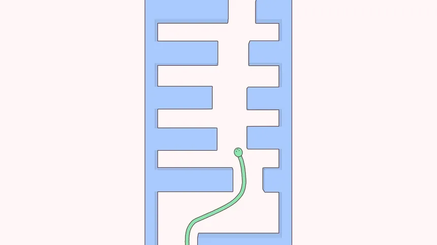 Скриншот 1 к игре Cute Snake