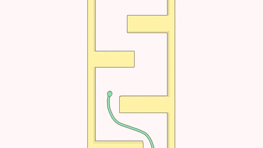 Скриншот 5 к игре Cute Snake