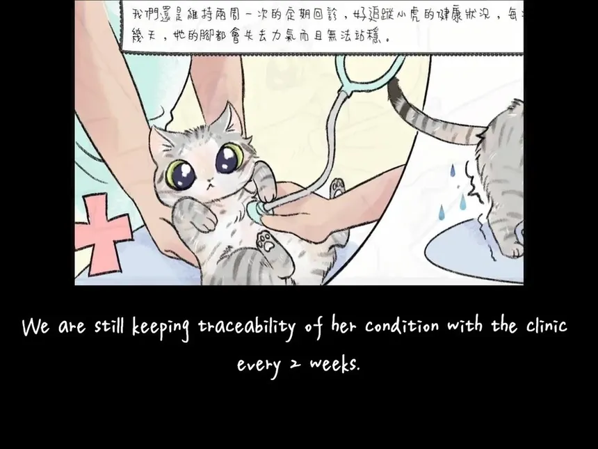 Скриншот 8 к игре 小虎的禮物 Tigey's Gift
