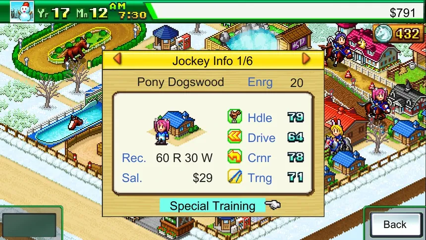 Скриншот 5 к игре Pocket Stables