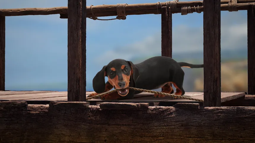 Скриншот 8 к игре The Lost Dachshund