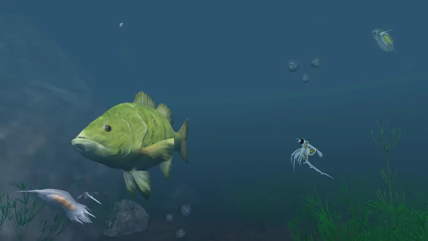 Скриншот 4 к игре The Aquatic Messenger