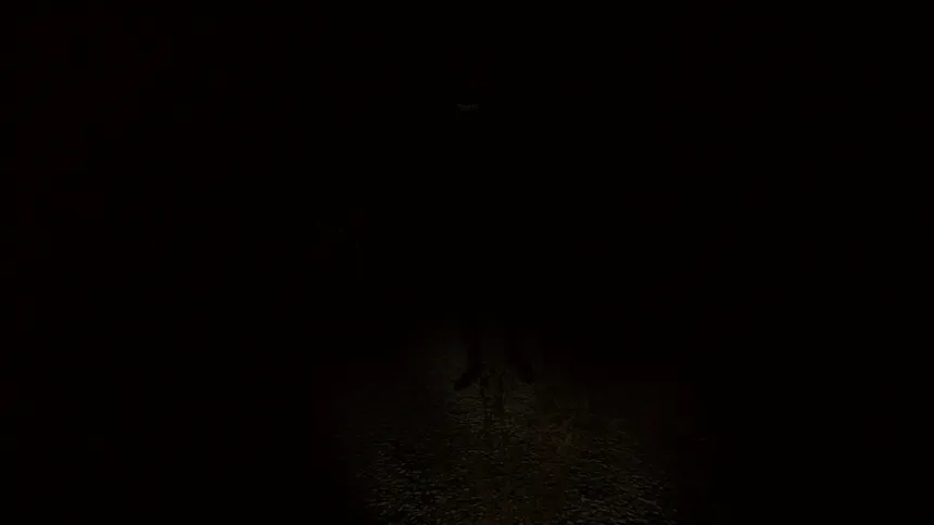Скриншот 5 к игре Sciophobia: The Fear of Shadows