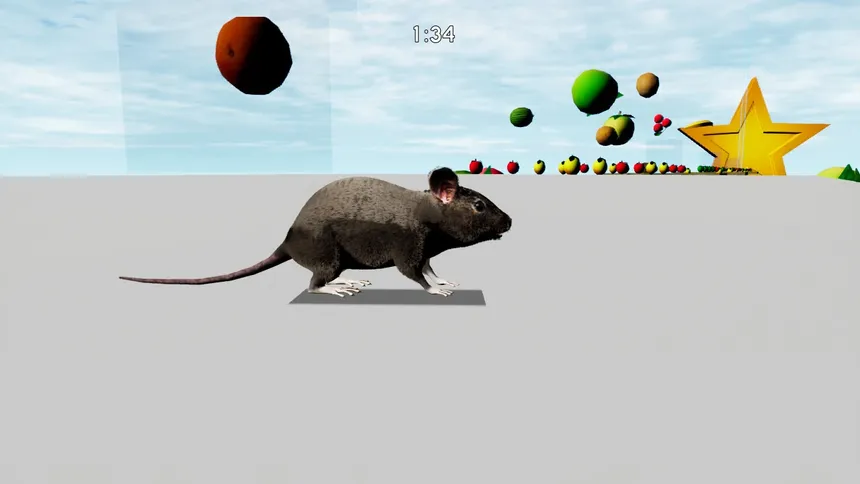Скриншот 6 к игре RAT MEMORY