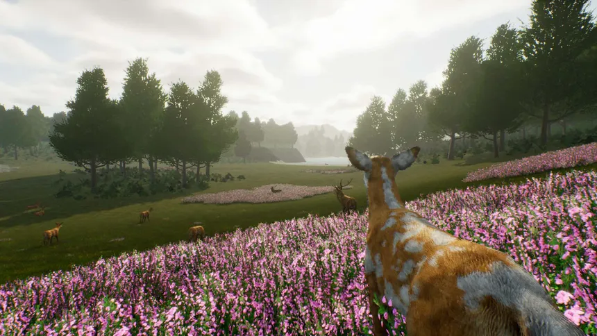 Скриншот 2 к игре Deer Journey