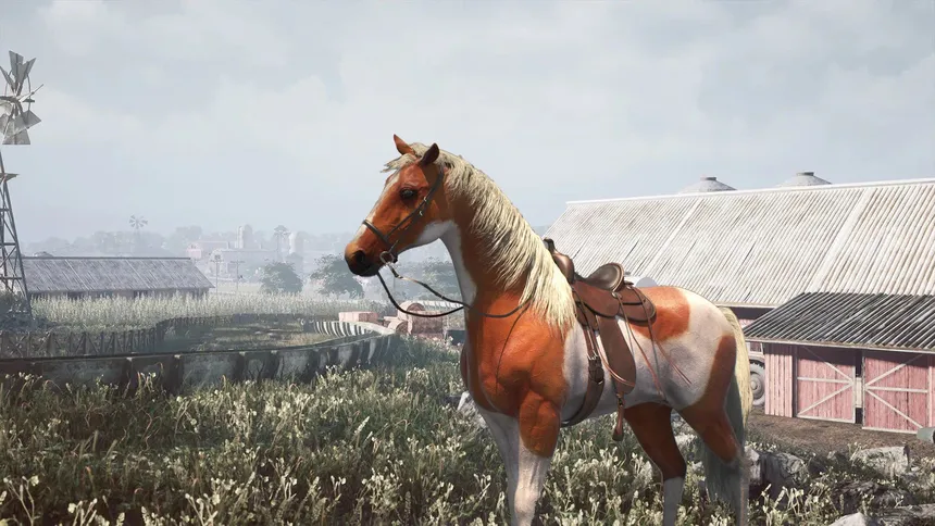 Скриншот 2 к игре Horse Shelter 2022 - Prologue