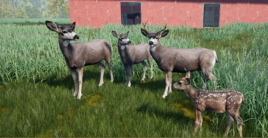 Скриншот 1 к игре Wilderness Survival: The Conservationist