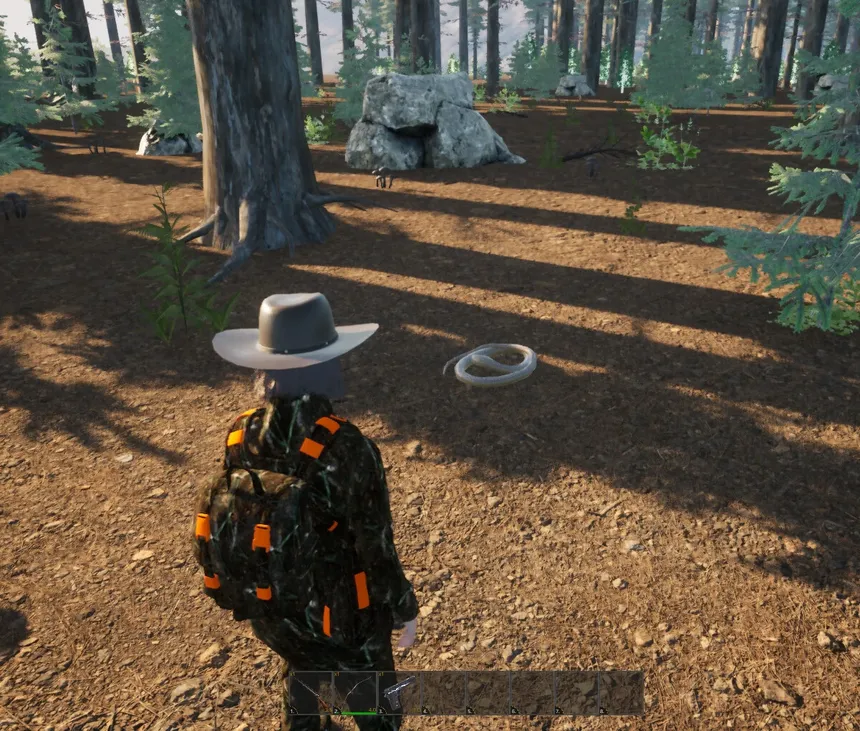 Скриншот 5 к игре Wilderness Survival: The Conservationist