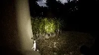 Скриншот 6 к игре Dr.Pumpkin Chapter 2: The SCP hunt