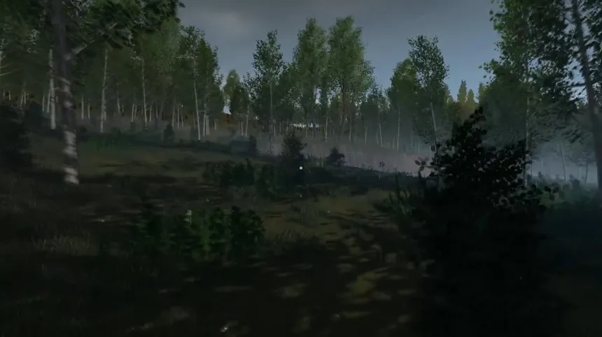 Скриншот 1 к игре ENDGAME: Survival