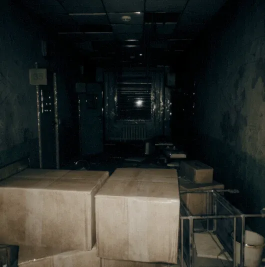 Скриншот 3 к игре THE HUNTED: SHADOWS OF DESPAIR