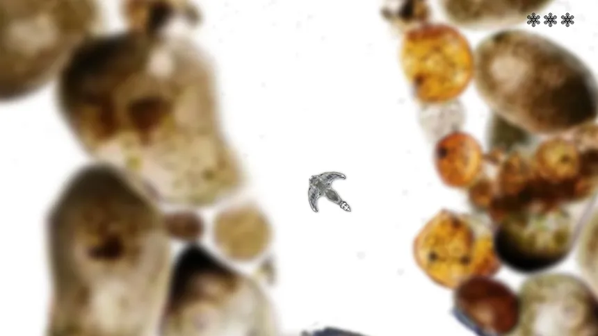 Скриншот 6 к игре MICROSCOPIC