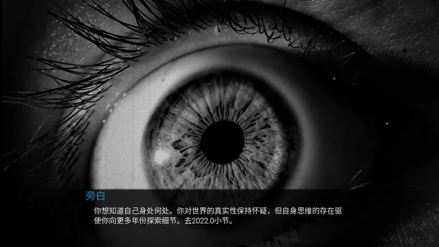 Скриншот 1 к игре 控制论：年份游戏2022