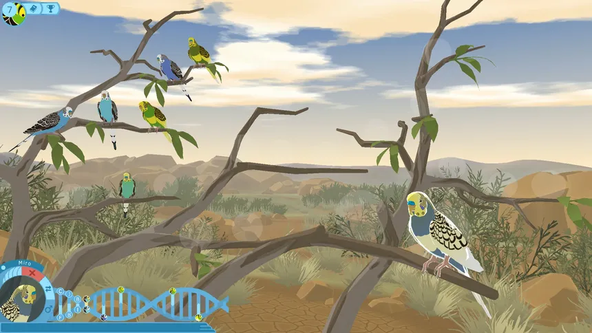 Скриншот 1 к игре Budgie Genetics Simulator
