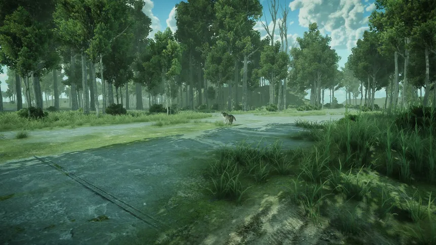 Скриншот 7 к игре Forest Spring