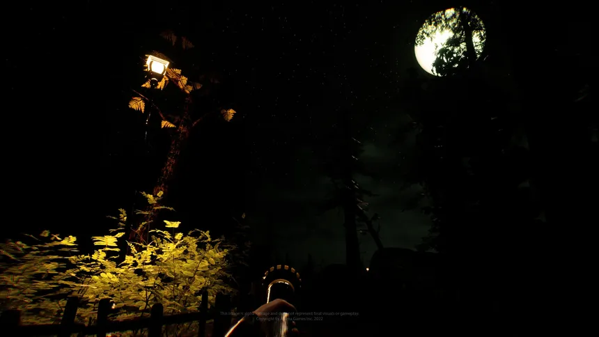 Скриншот 8 к игре Schwarzwald