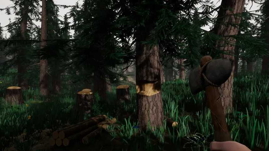 Скриншот 1 к игре The Woods