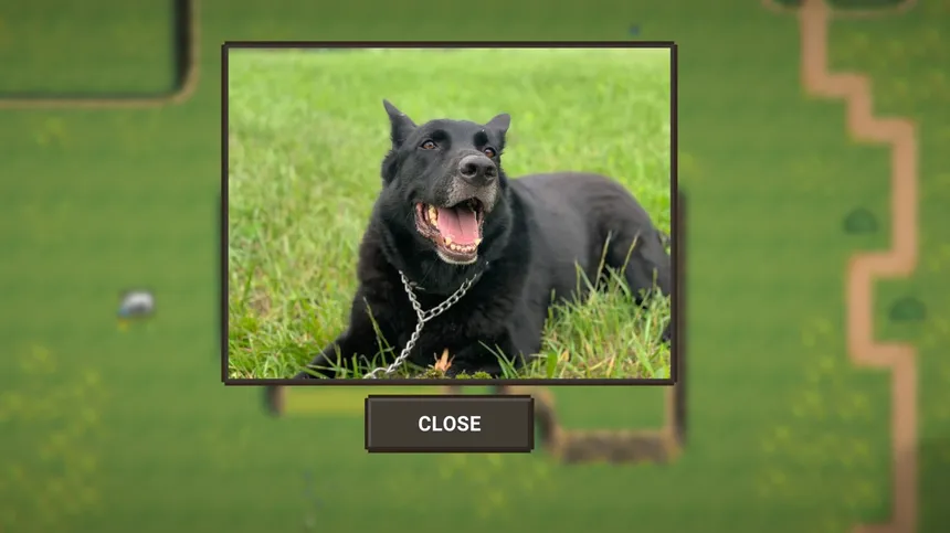 Скриншот 6 к игре A Walk With My Dog