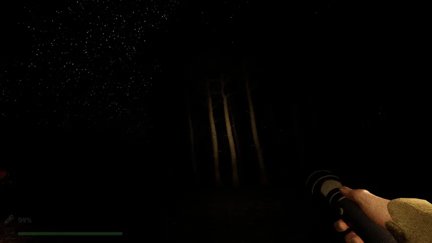Скриншот 3 к игре Park Ranger: Lost In The Woods