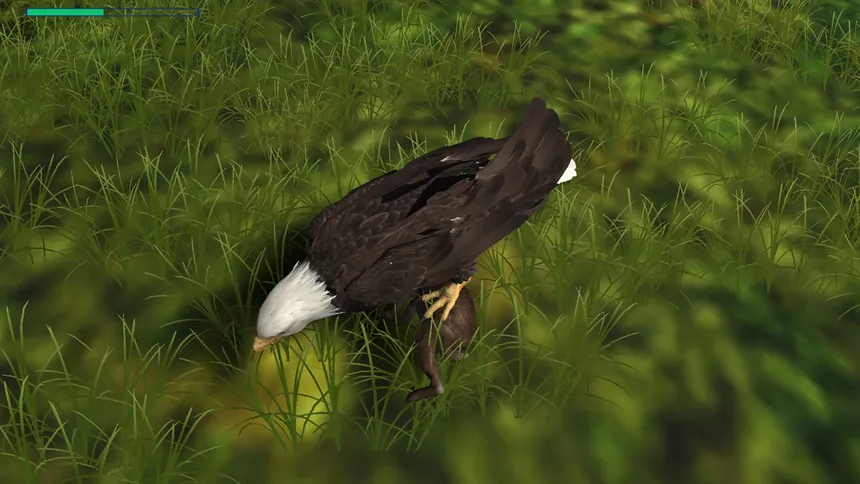 Скриншот 2 к игре Eagle Hunting Journey