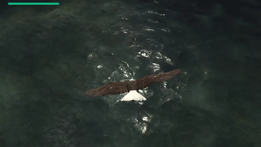 Скриншот 6 к игре Eagle Hunting Journey