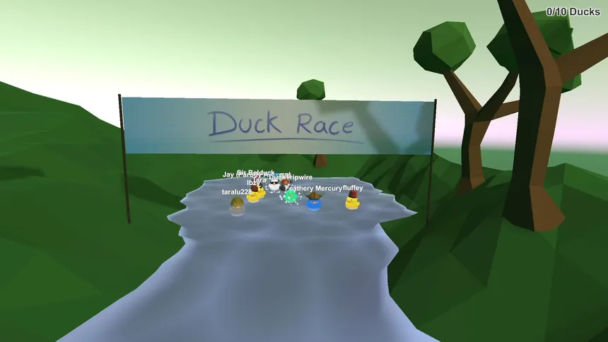 Скриншот 7 к игре Duck Race